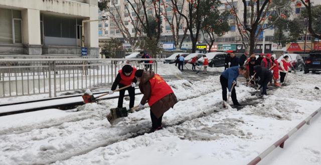 市政府办开展铲雪除冰志愿服务活动